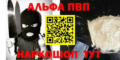 твердый Кингисепп
