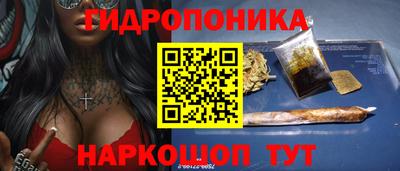 твердый Кингисепп