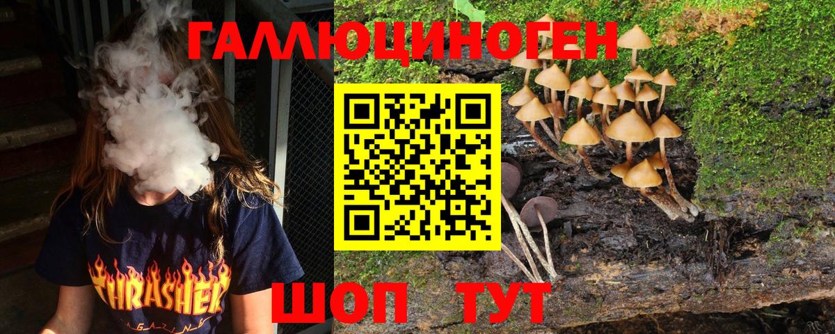 Псилоцибиновые грибы Magic Shrooms Краснодар